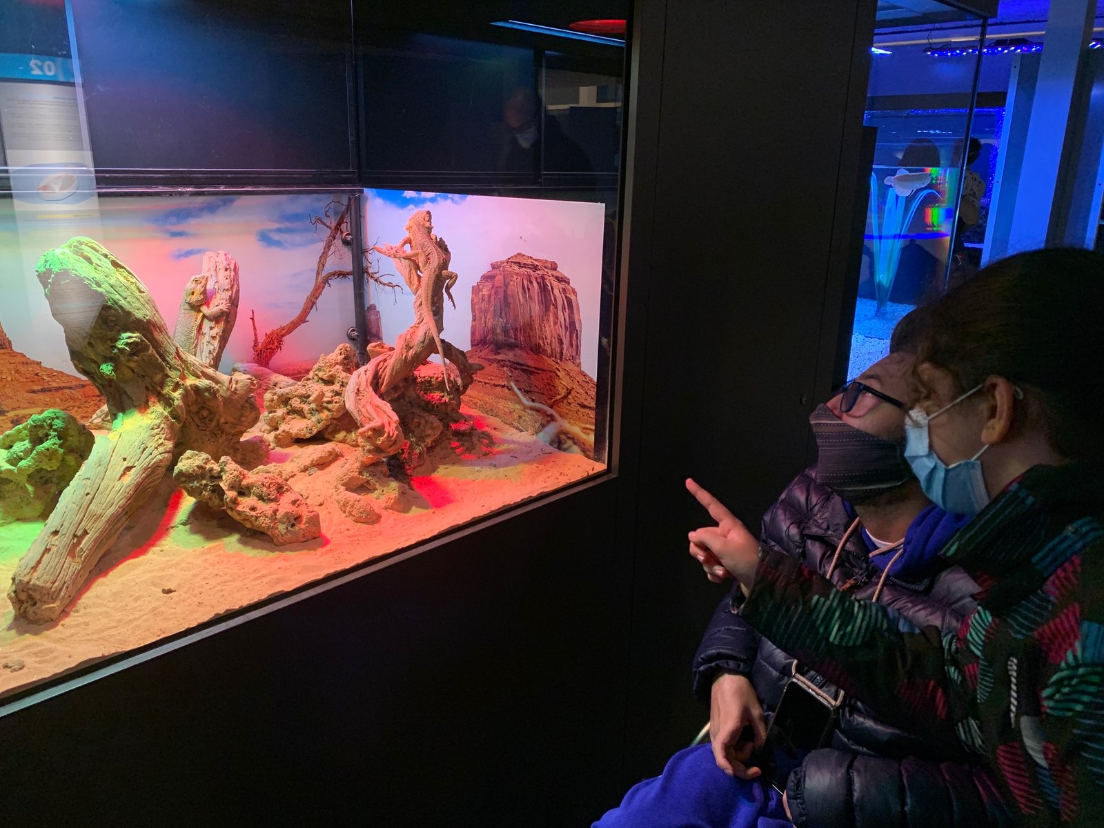 Equipo Zurich Aefat en Maratón Donostia 2021 4