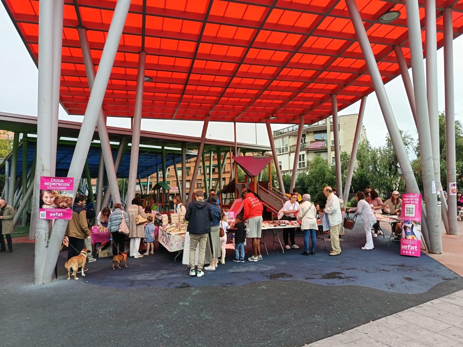 Mercadillo Solidario de Libros