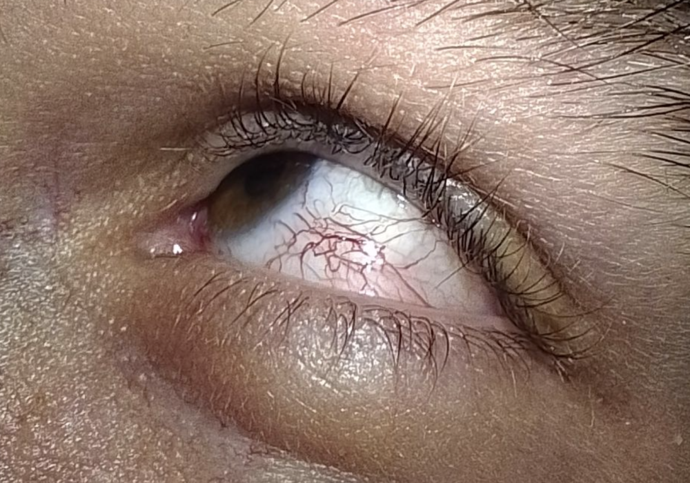 Captura de pantalla 2026-01-29 a las 11.31.52